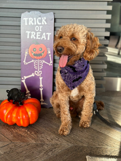 Halloween Purple Bat and spider web Dog Designer Bandanna