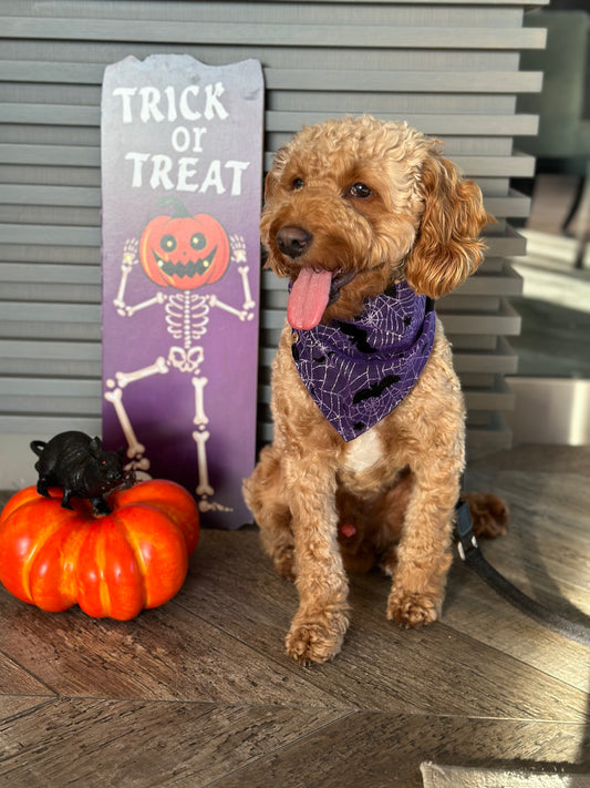 Bandana de créateur pour chien Halloween violet avec chauve-souris et toile d'araignée