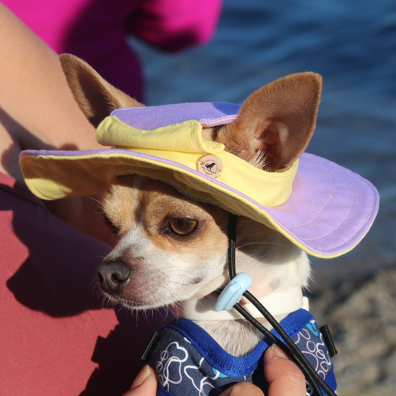 Sunlilac Dog Bucket Hat