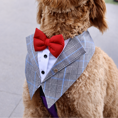 Classic Grey Dog Tuxedo Bandana