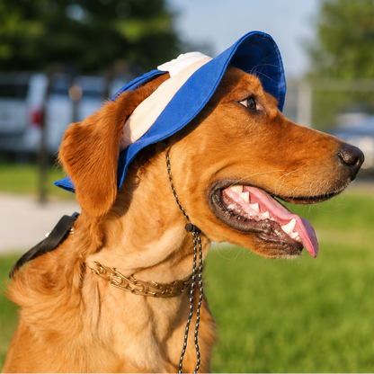 Bob pour chien Bubble Skye