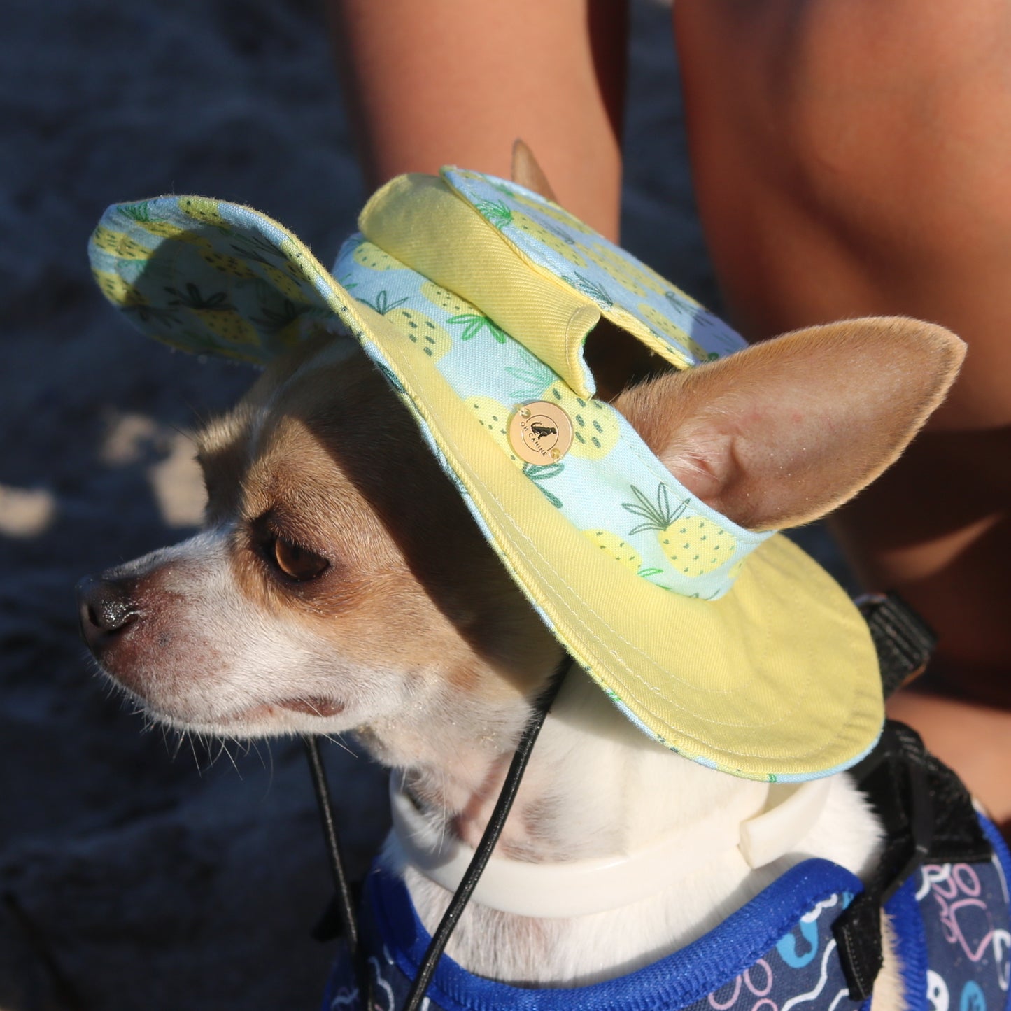 Lola Pine Dog Bucket Hat