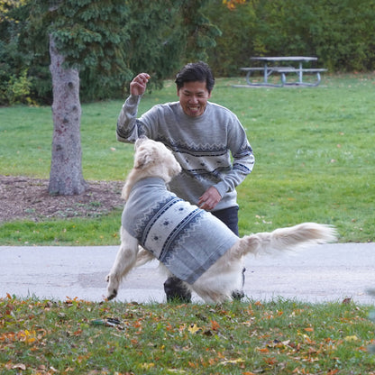 Matching Christmas Sweaters for Dog and Human- Polar Paws
