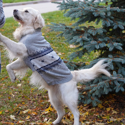 Matching Christmas Sweaters for Dog and Human- Polar Paws