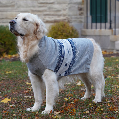 Matching Christmas Sweaters for Dog and Human- Polar Paws
