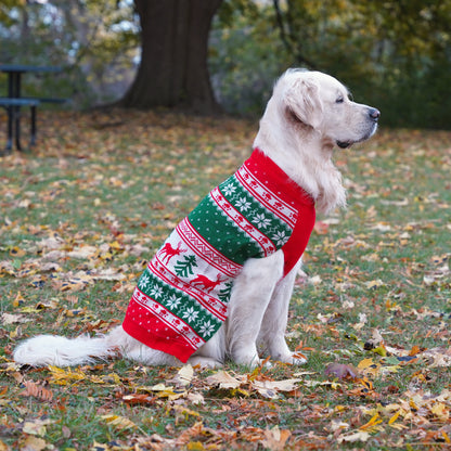 Matching Christmas Sweaters for Dog and Human - Jolly Paws
