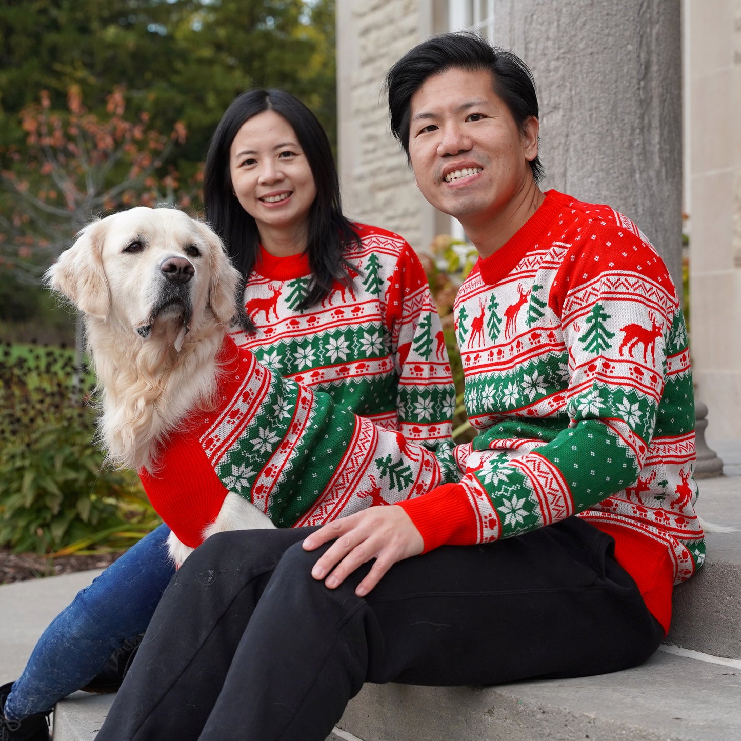 Matching Christmas Sweaters for Dog and Human - Jolly Paws