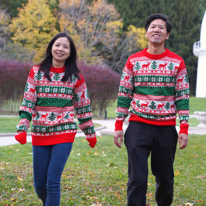 Matching Christmas Sweaters for Dog and Human - Jolly Paws