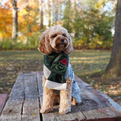 Dog Scarf | Handmade Pet Christmas Scarf| Grinch Scarf