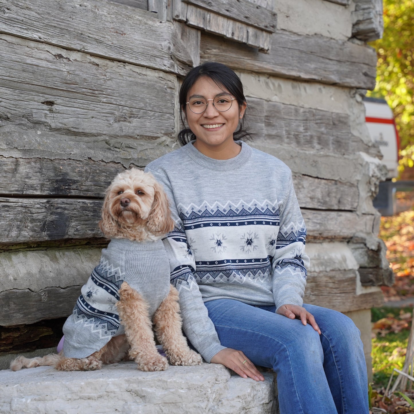 Matching Christmas Sweaters for Dog and Human- Polar Paws