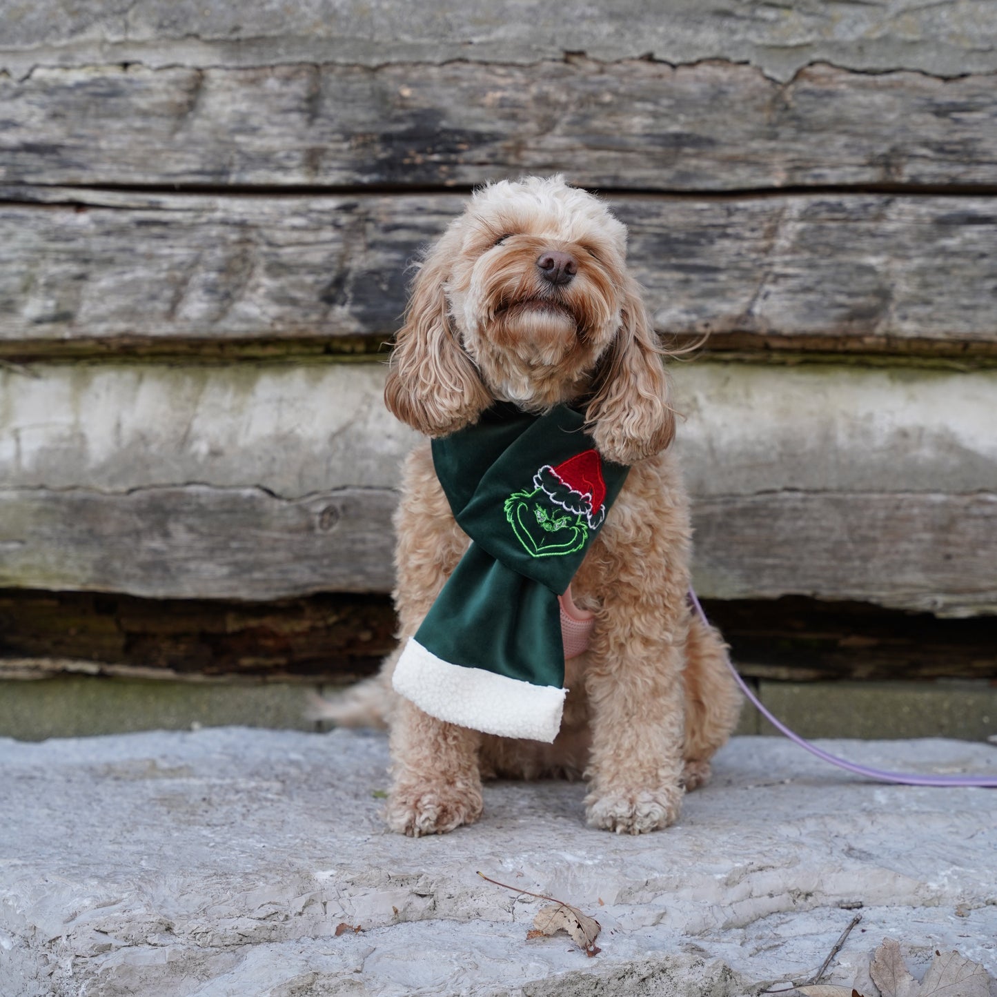 Dog Scarf | Handmade Pet Christmas Scarf| Grinch Scarf