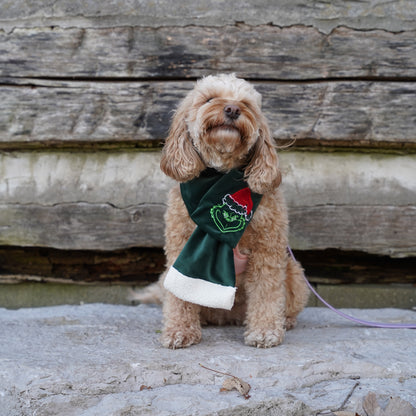 Dog Scarf | Handmade Pet Christmas Scarf| Grinch Scarf