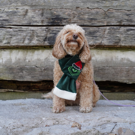 Dog Scarf | Handmade Pet Christmas Scarf| Grinch Scarf