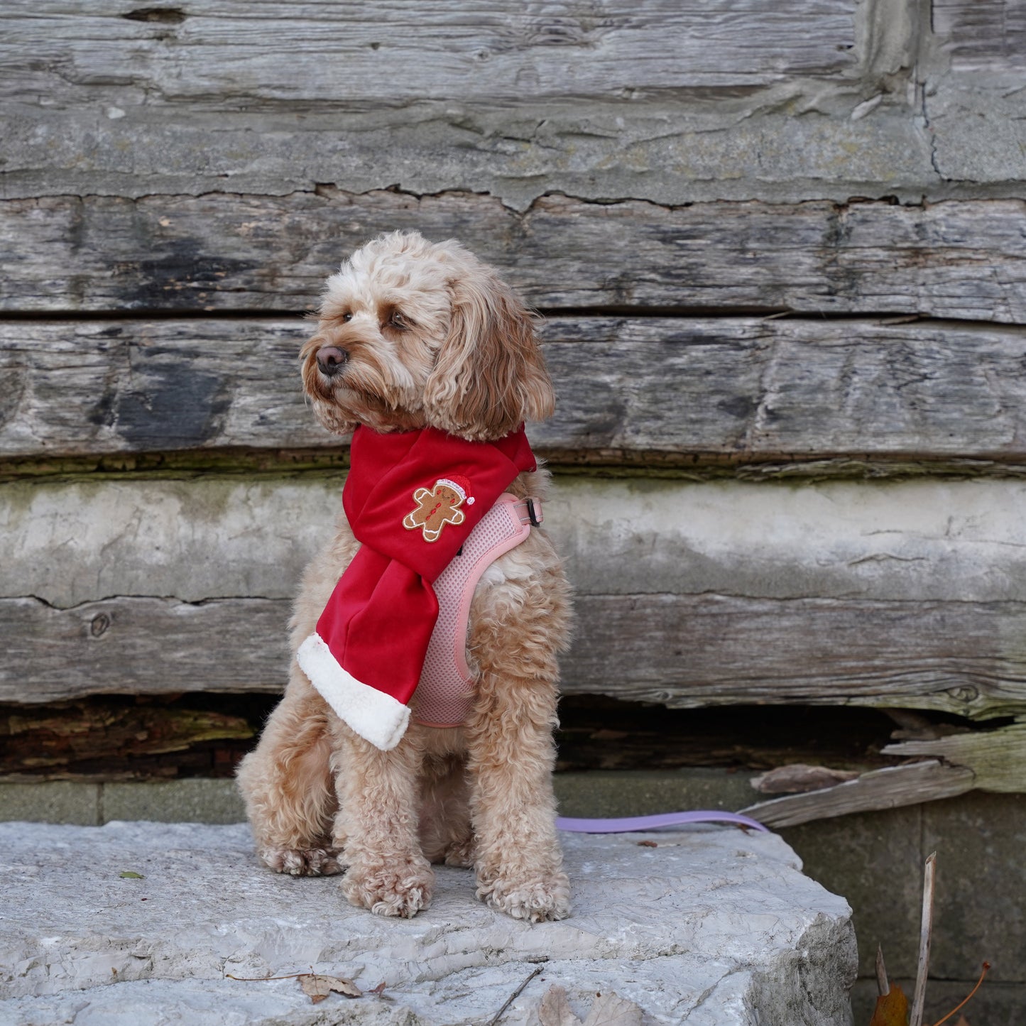 Dog Scarf | Handmade Pet Christmas Scarf| Gingerbread Scarf