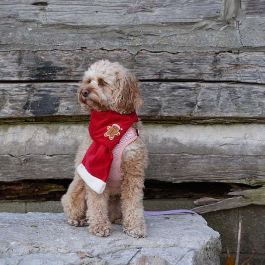 Dog Scarf | Handmade Pet Christmas Scarf| Gingerbread Scarf