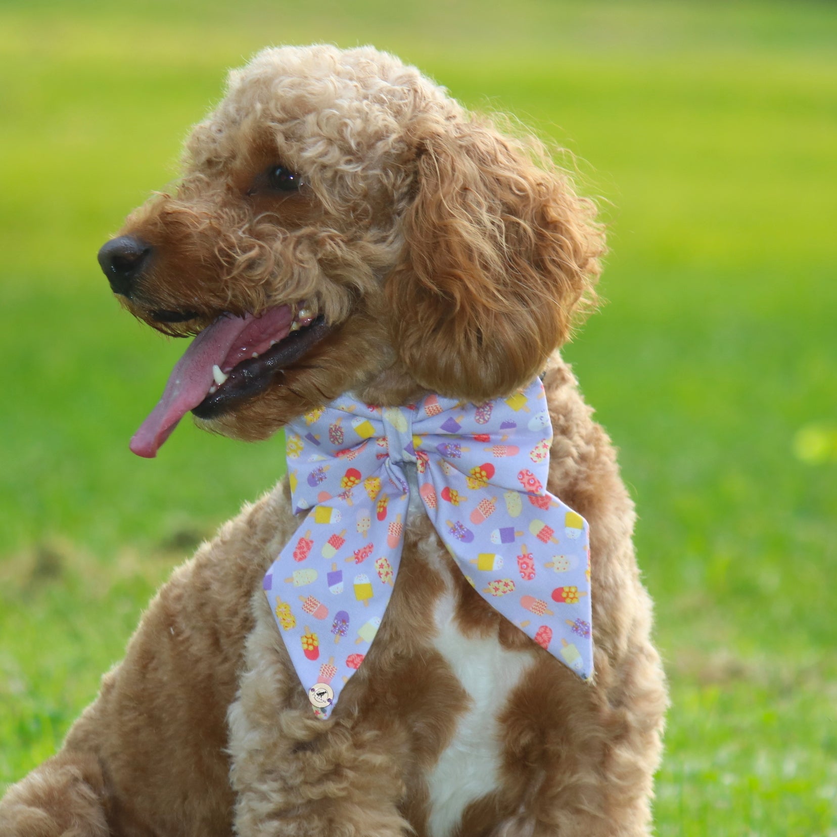 Popsicle SailorBow for Pets