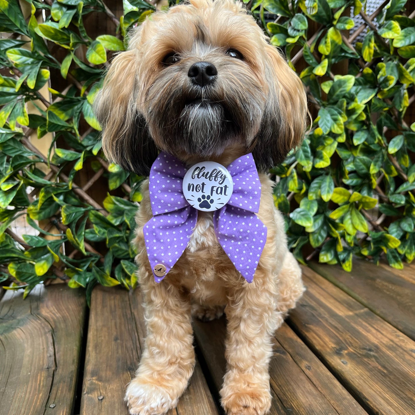 Personalized Purple Polkadot Handmade Dog Collar Sailor bow tie