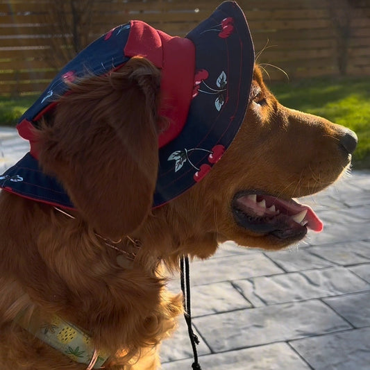 Cherry Bloom Dog Bucket Hat