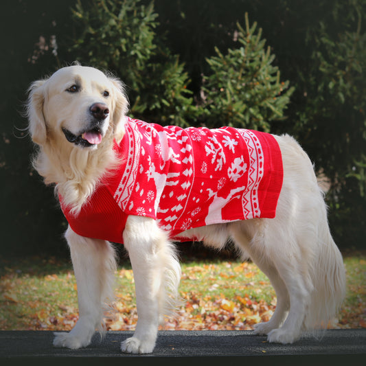 Pull pour chien - Ensemble assorti de Noël