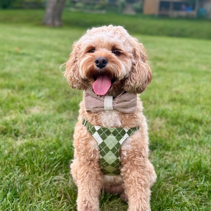 Teddy Stripe Flannel handmade Dog Bowtie collar