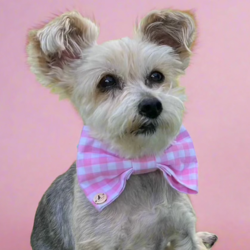 Pink Checkered