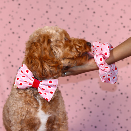 Valentine’s day  Pink &Red  Heart with velvet Bow tie