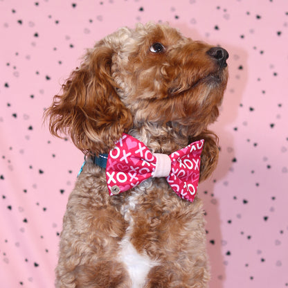 Motif xoxo rose de la Saint-Valentin avec nœud papillon en velours