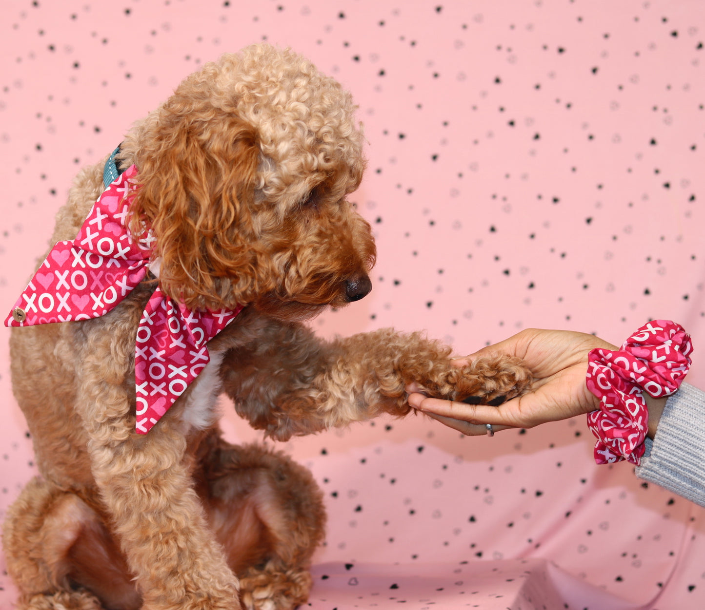 Valentine’s Day Pink XOXO pattern with velvet Handmade Sailor bowtie for your pets