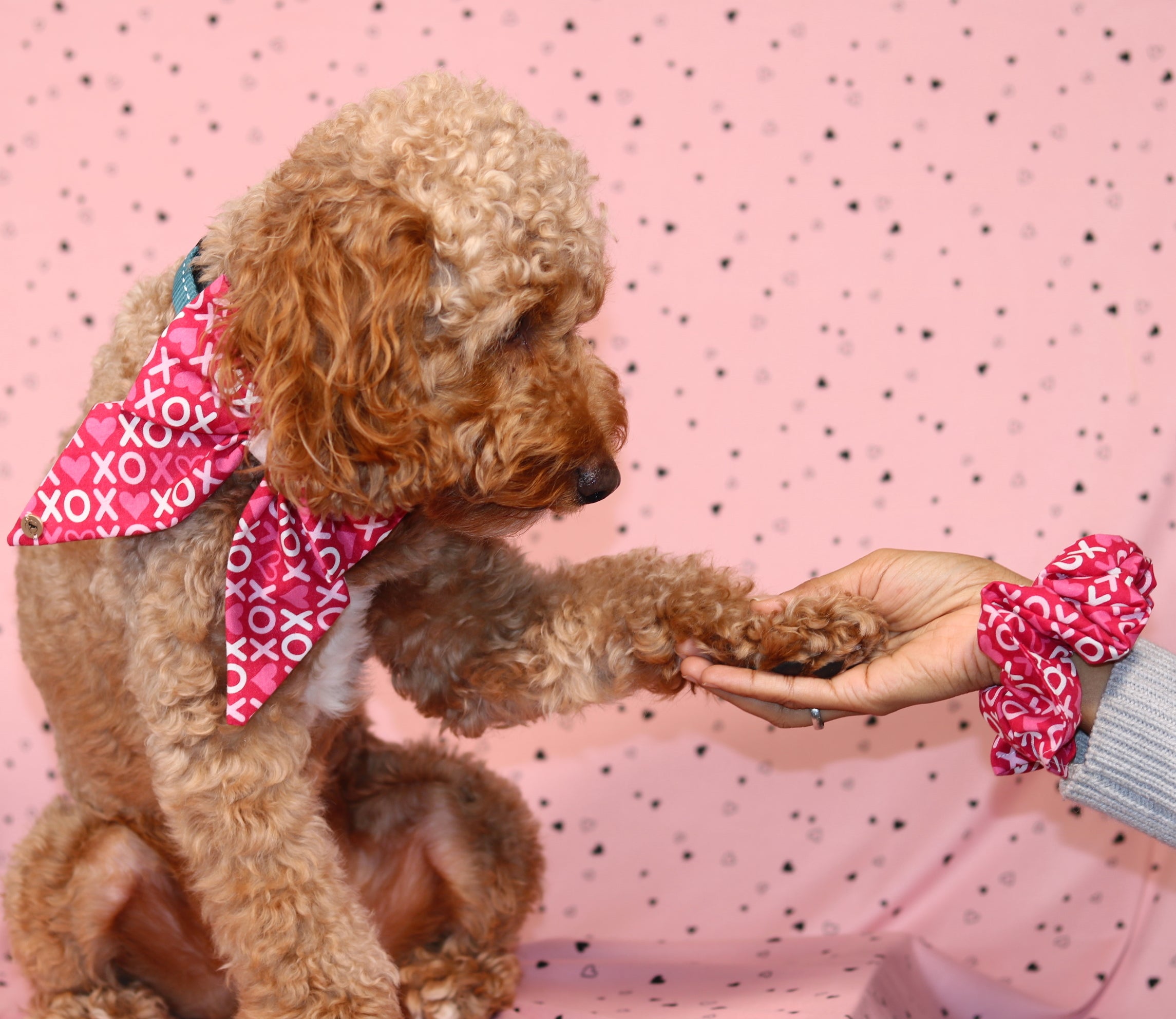 Valentine’s Day Pink XOXO pattern with velvet Handmade Sailor bowtie for your pets
