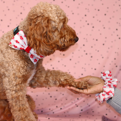 Valentine’s day  Red  Heart with velvet Bow tie