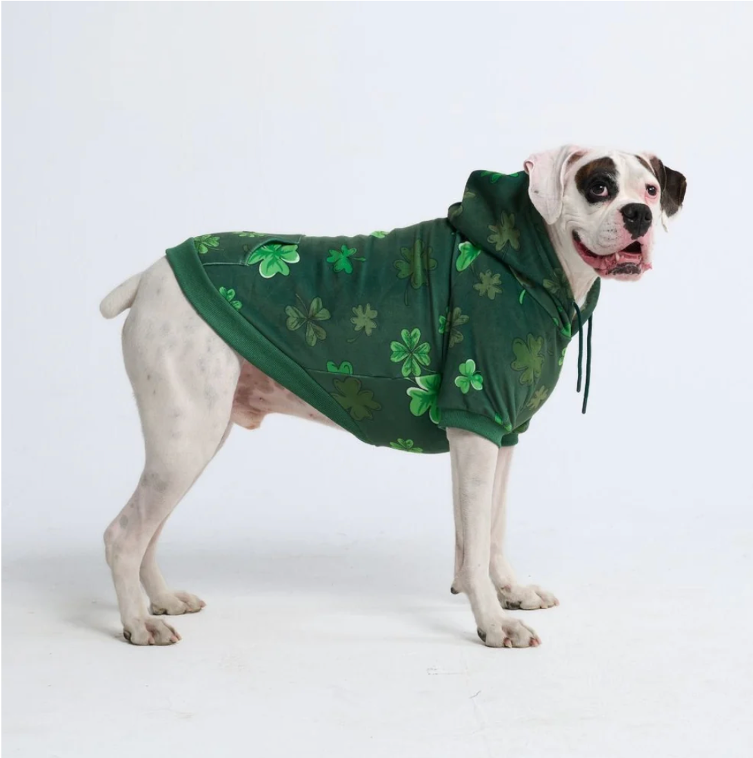 Dog hoodie