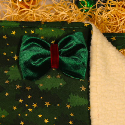 Bandana pour chien design Cozy Green Starlight avec Sherpa