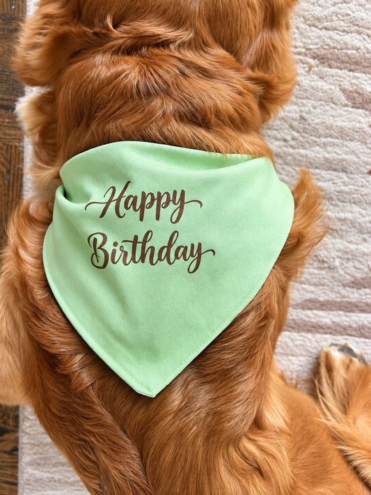 Birthday Bloom Dog Bandana & Felt Crown Set