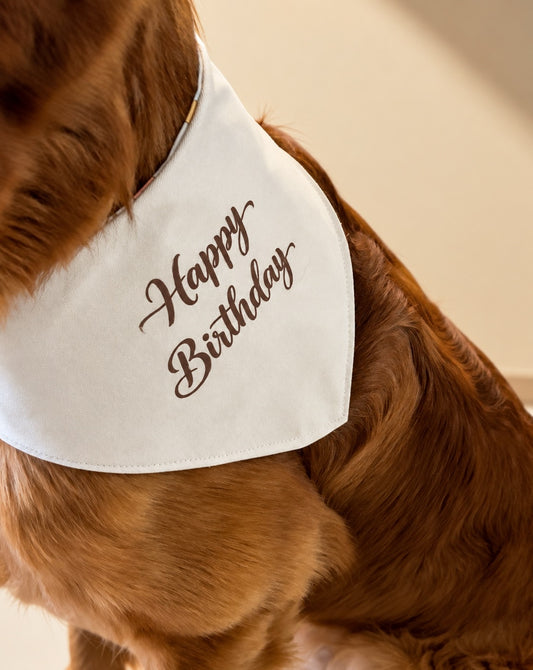 Birthday Bear Dog Bandana & Felt Crown Set