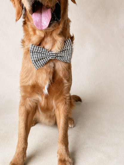 Houndstooth Dog Beret and bowtie set