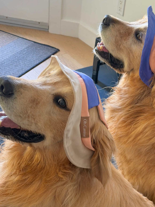 Khaki Colorblock Dog Sun Hat