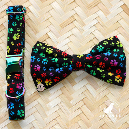 Ensemble collier et nœud faits main Rain Bow Paws pour chiens