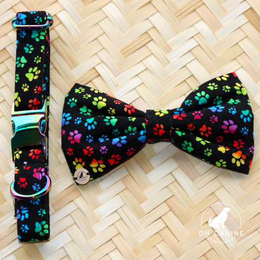 Ensemble collier et nœud faits main Rain Bow Paws pour chiens