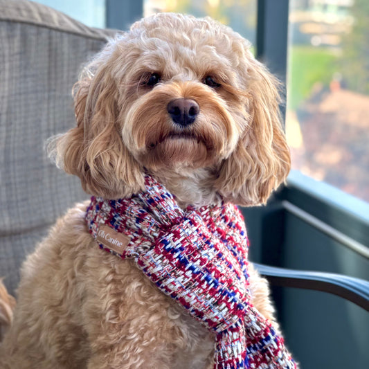 Dog Scarf | Handmade Pet Christmas Scarf